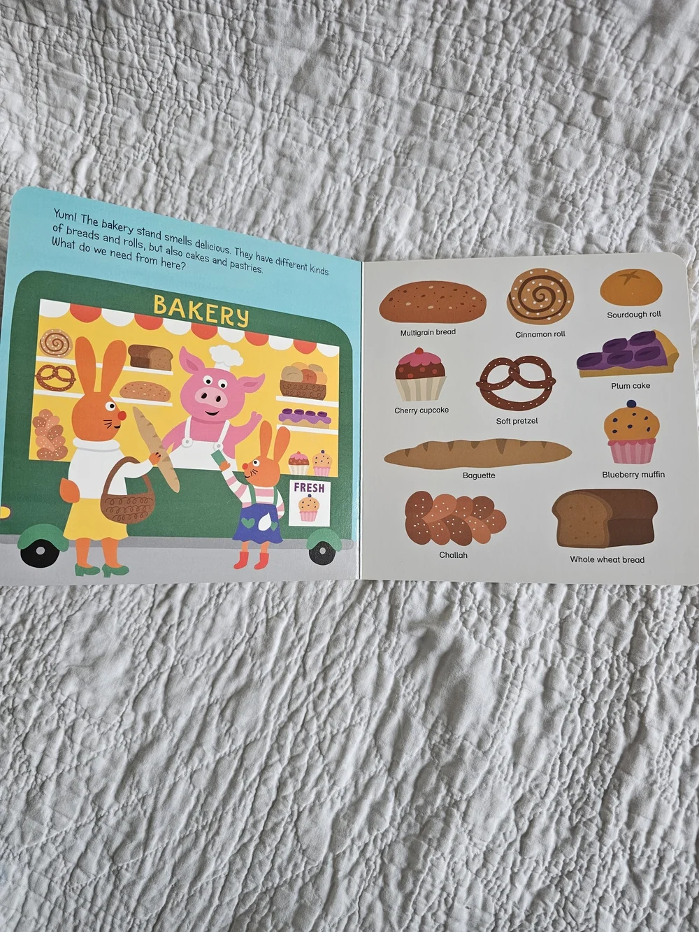 Board Books- My Firsts And Fun Stories Bundle